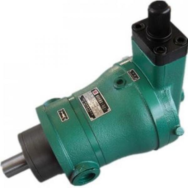 10MCY14-1B high pressure hydraulic axial piston Pump #4 image