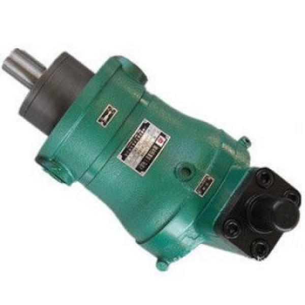 40S CY 14-1B high pressure hydraulic axial piston Pump #1 image